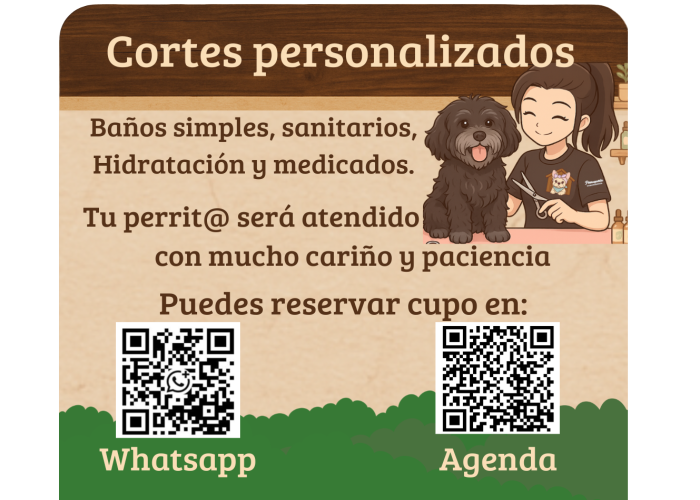 Second slide
